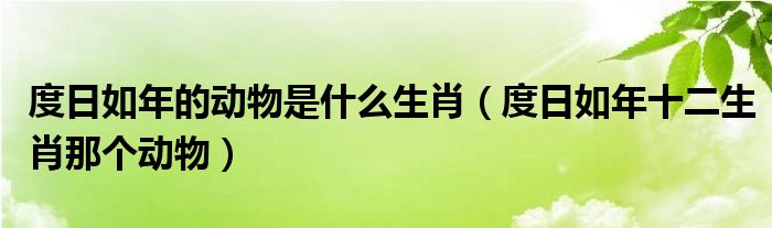 度日如年的动物是什么生肖(度日如年十二生肖那个动物)