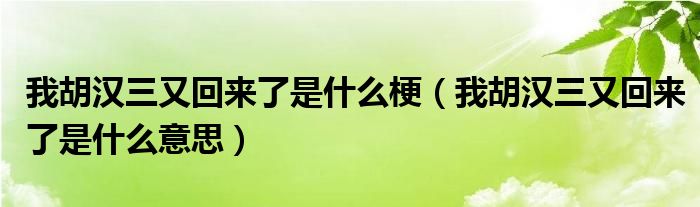 我胡汉三又回来了是什么梗(我胡汉三又回来了是什么意思)