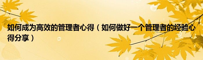如何成为高效的管理者心得(如何做好一个管理者的经验心得分享)