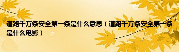 道路千万条安全第一条是什么意思(道路千万条安全第一条是什么电影)