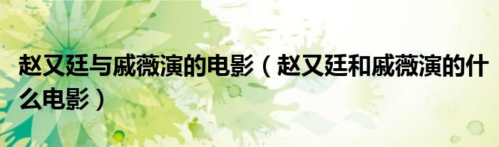 赵又廷与戚薇演的电影(赵又廷和戚薇演的什么电影)