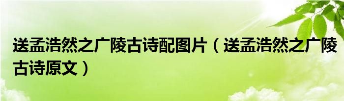 送孟浩然之广陵古诗配图片（送孟浩然之广陵古诗原文）