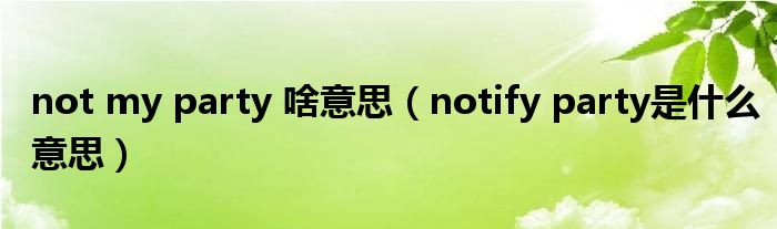 not my party 啥意思(notify party是什么意思)