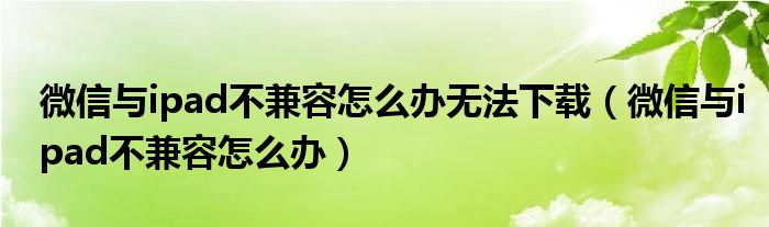 微信与ipad不兼容怎么办无法下载(微信与ipad不兼容怎么办)