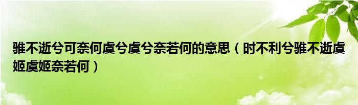 骓不逝兮可奈何虞兮虞兮奈若何的意思(时不利兮骓不逝虞姬虞姬奈若何)