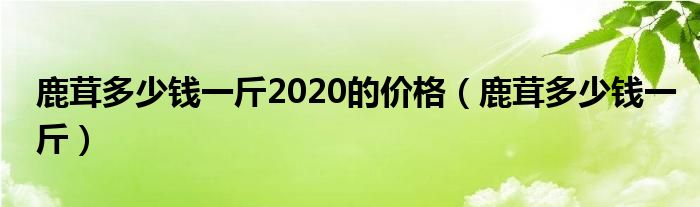 鹿茸多少钱一斤2020的价格(鹿茸多少钱一斤)