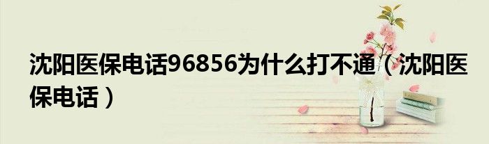 沈阳医保电话96856为什么打不通(沈阳医保电话)