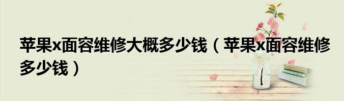 苹果x面容维修大概多少钱(苹果x面容维修多少钱)