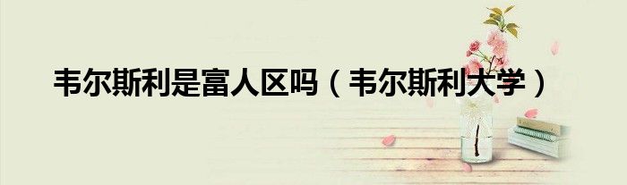 韦尔斯利是富人区吗(韦尔斯利大学)