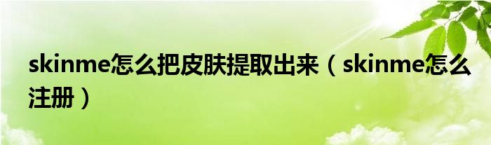 skinme怎么把皮肤提取出来(skinme怎么注册)
