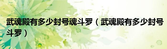 武魂殿有多少封号魂斗罗(武魂殿有多少封号斗罗)