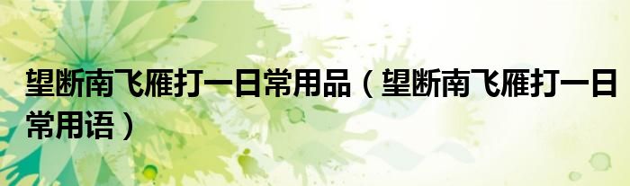 望断南飞雁打一日常用品(望断南飞雁打一日常用语)