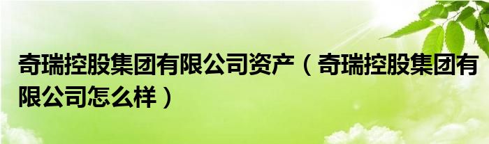奇瑞控股集团有限公司资产(奇瑞控股集团有限公司怎么样)