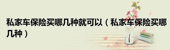 私家车保险买哪几种就可以(私家车保险买哪几种)
