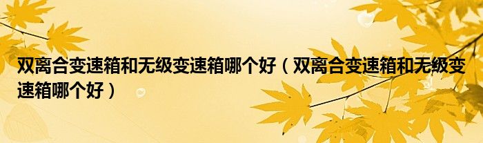 双离合变速箱和无级变速箱哪个好(双离合变速箱和无级变速箱哪个好)