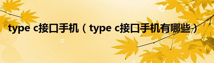 type c接口手机(type c接口手机有哪些)