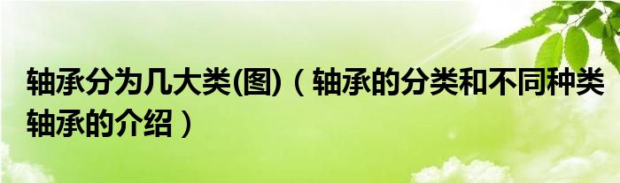 轴承分为几大类(图)(轴承的分类和不同种类轴承的介绍)