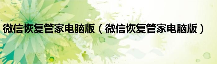 微信恢复管家电脑版(微信恢复管家电脑版)