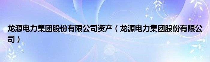 龙源电力集团股份有限公司资产(龙源电力集团股份有限公司)