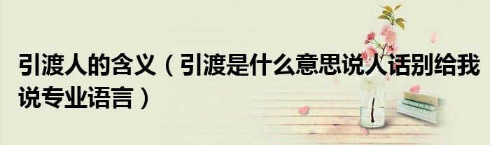 引渡人的含义(引渡是什么意思说人话别给我说专业语言)