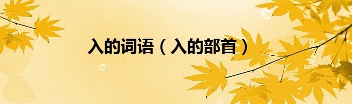 入的词语（入的部首）