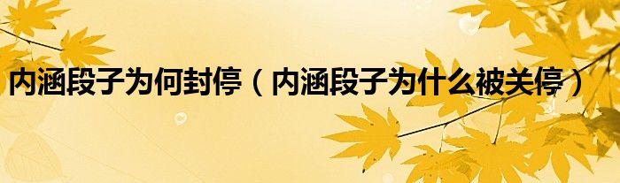 内涵段子为何封停(内涵段子为什么被关停)