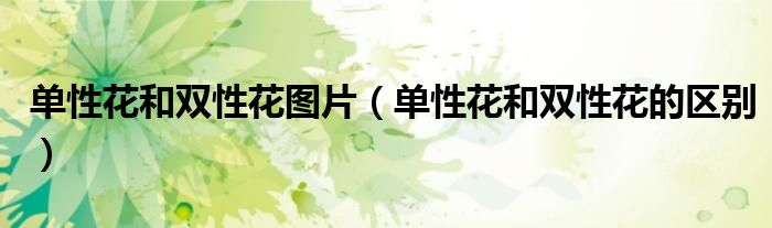 单性花和双性花图片(单性花和双性花的区别)