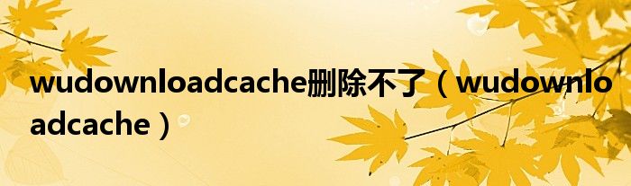 wudownloadcache删除不了(wudownloadcache)