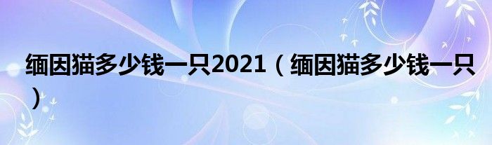 缅因猫多少钱一只2021(缅因猫多少钱一只)