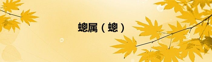 蟌属（蟌）