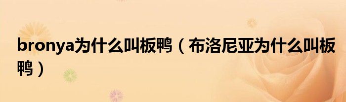 bronya为什么叫板鸭(布洛尼亚为什么叫板鸭)