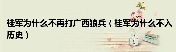 桂军为什么不再打广西狼兵(桂军为什么不入历史)