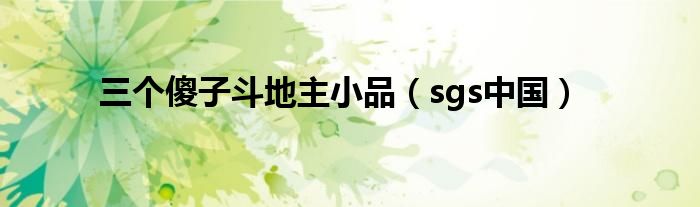 三个傻子斗地主小品（sgs中国）