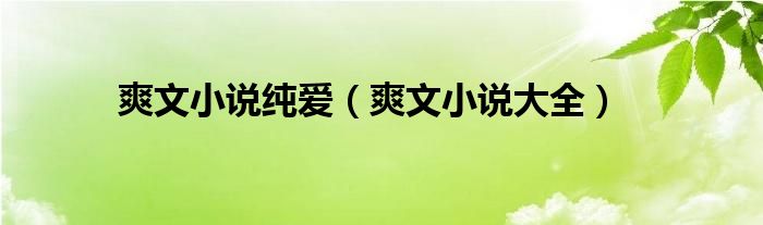 爽文小说纯爱(爽文小说大全)