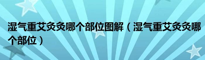 湿气重艾灸灸哪个部位图解（湿气重艾灸灸哪个部位）