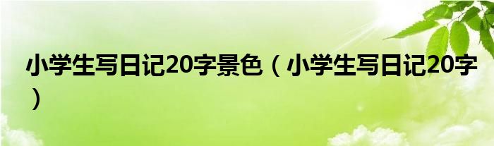 小学生写日记20字景色(小学生写日记20字)