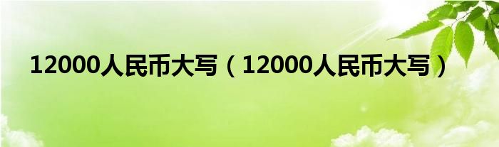 12000人民币大写(12000人民币大写)