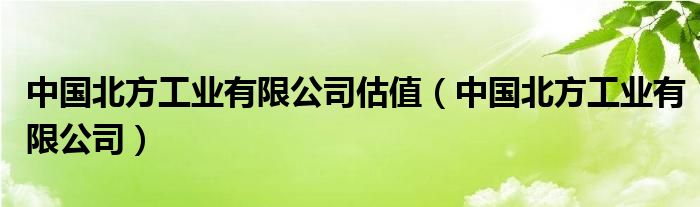 中国北方工业有限公司估值(中国北方工业有限公司)