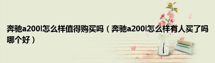 奔驰a200l怎么样值得购买吗(奔驰a200l怎么样有人买了吗哪个好)