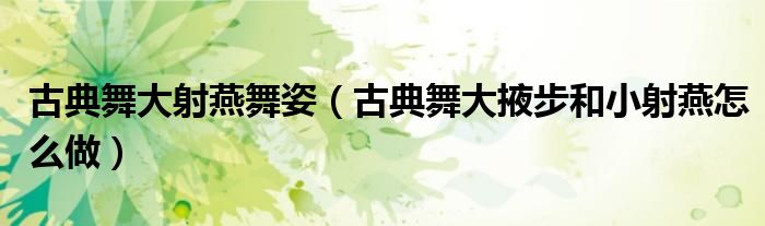 古典舞大射燕舞姿(古典舞大掖步和小射燕怎么做)