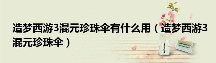造梦西游3混元珍珠伞有什么用(造梦西游3混元珍珠伞)