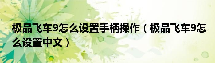 极品飞车9怎么设置手柄操作（极品飞车9怎么设置中文）