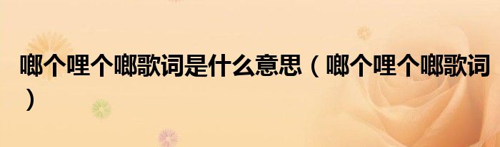 啷个哩个啷歌词是什么意思(啷个哩个啷歌词)