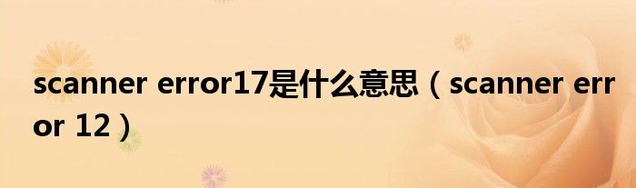 scanner error17是什么意思(scanner error 12)