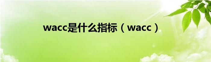 wacc是什么指标(wacc)
