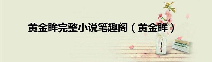黄金眸完整小说笔趣阁(黄金眸)