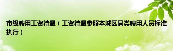 市级聘用工资待遇(工资待遇参照本城区同类聘用人员标准执行)