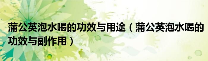蒲公英泡水喝的功效与用途(蒲公英泡水喝的功效与副作用)