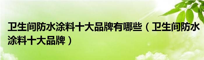 卫生间防水涂料十大品牌有哪些(卫生间防水涂料十大品牌)