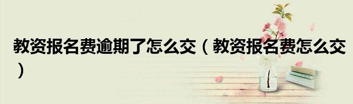 教资报名费逾期了怎么交(教资报名费怎么交)